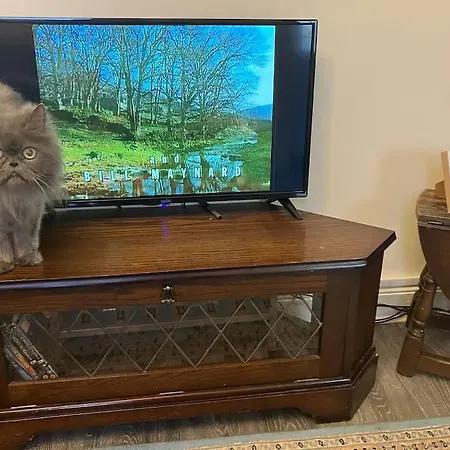 Apartment Beautiful North Bay Seaside Apartment, Free Parking And Courtyard *